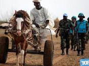países caballos mundo.