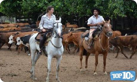 Argentina Argentina-entre-los-paises-con-mas-caballos-del-mundo