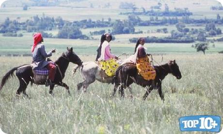 Etiopía Etiopía-entre-los-paises-con-mas-caballos-del-mundo