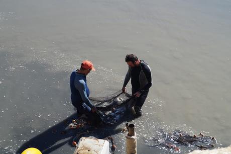 DESPESQUE EN LOS ESTEROS DE SAN FERNANDO