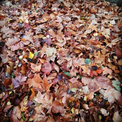 Pete Astor + Otoño polar + Educación siberiana Pete Astor + Otoño polar + Educación siberiana