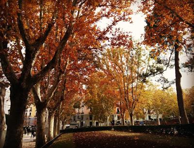 Pete Astor + Otoño polar + Educación siberiana Pete Astor + Otoño polar + Educación siberiana