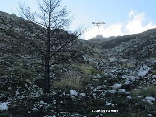 Villamanín-Cueto Fontún-Machamedio-Formigoso