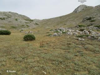 Villamanín-Cueto Fontún-Machamedio-Formigoso