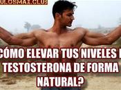 ¿Cómo elevar niveles testosterona forma natural?