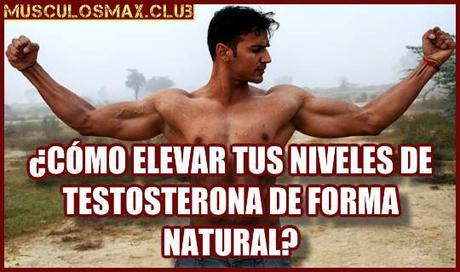 ¿Cómo elevar tus niveles de testosterona de forma natural?