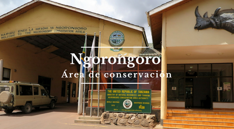 Ngorongoro