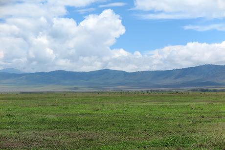 Ngorongoro