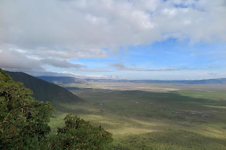 Ngorongoro