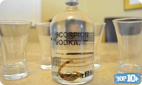 Vodka de Escorpion-entre-las10-bebidas-mas-raras-del-mundo