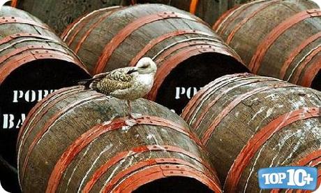 Vino de Gaviota-entre-las10-bebidas-mas-raras-del-mundo