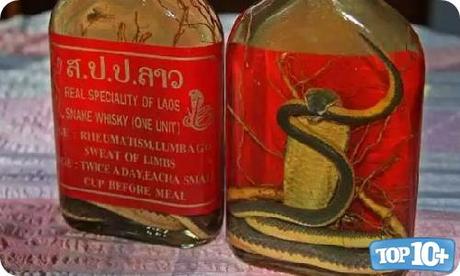 Whisky de Serpiente-entre-las10-bebidas-mas-raras-del-mundo