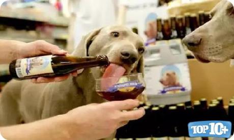 Kwispelbier-entre-las10-bebidas-mas-raras-del-mundo