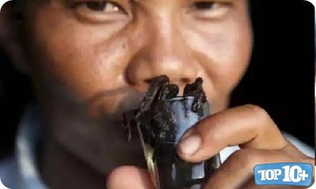 Coñac de Tarántula-entre-las10-bebidas-mas-raras-del-mundo