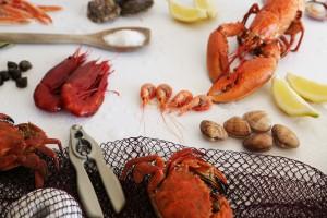 Congelar el marisco: una opción para las navidades
