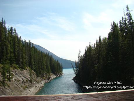 Lago Minnewanka. Banff. Montañas Rocosas Canadienses.  Fauna y vida silvestre