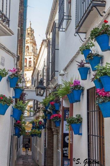 CÓRDOBA: EL LABERINTO BLANCO