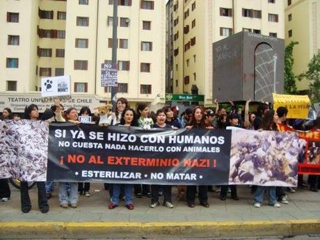 Animalistas, pseudo animalistas y leyes.