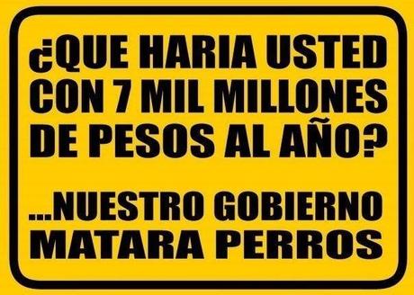 Animalistas, pseudo animalistas y leyes.