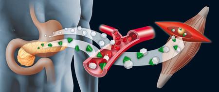 El huevo y nuestra salud cardiovascular: desmontando los mitos más comunes