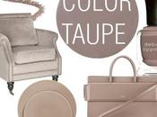 Taupe colour obsession