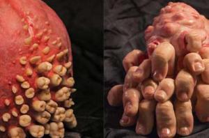 Jonathan Payne y sus ‘caprichosas’ formas mutantes | Gabriela Vivanco Jonathan Payne y sus ‘caprichosas’ formas mutantes | Gabriela Vivanco