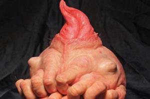 Jonathan Payne y sus ‘caprichosas’ formas mutantes | Gabriela Vivanco Jonathan Payne y sus ‘caprichosas’ formas mutantes | Gabriela Vivanco