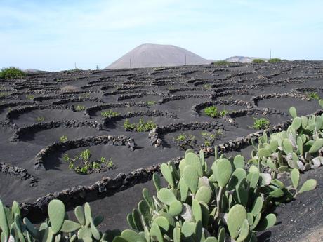 Vacaciones inolvidables en Lanzarote