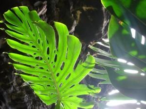 Vacaciones inolvidables en Lanzarote