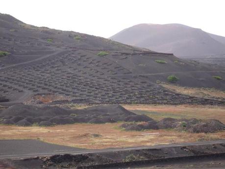 Vacaciones inolvidables en Lanzarote