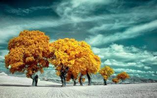 ERA UN HOMBRE MUY TRISTE...