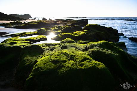 Assilah - Viaje a Marruecos