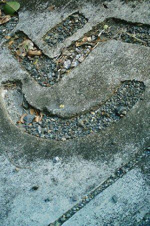 ¿Por qué las personas con discapacidad intelectual no escriben ficción? ¿Por qué las personas con discapacidad intelectual no escriben ficción?