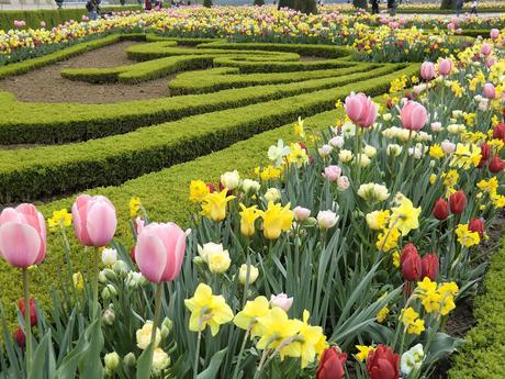 Cuida tu jardín cada día y siempre tendrá flores