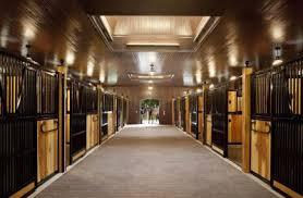 ¿Qué significa soñar con un establo? ¿Qué significa soñar con un establo?