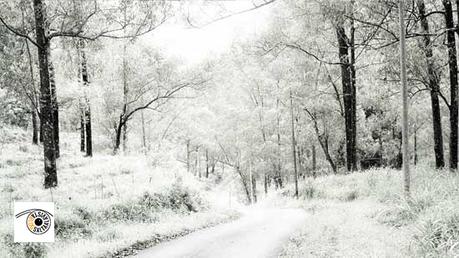Tutorial Transformar Paisaje de Verano a Invierno con Photoshop by Saltaalavista Blog Tutorial Transformar Paisaje de Verano a Invierno con Photoshop Imagen Final
