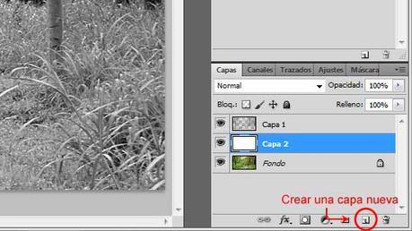 Tutorial Transformar Paisaje de Verano a Invierno con Photoshop by Saltaalavista Blog Tutorial Transformar Paisaje de Verano a Invierno con Photoshop Imagen 07