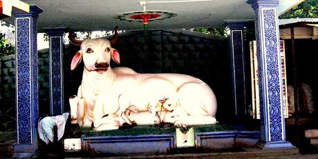 Kamadhenu: La vaca de los deseos Kmdenul