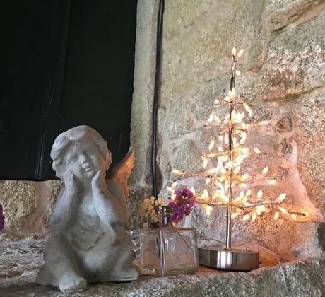 ¡Diciembre en el jardín! December in the garden!