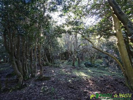 RUTA al CALDOVEIRO y PEÑA CRUZADA desde MARABIO Atravesando zona de sombra junto al Caldoveiro