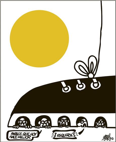 [Humor en cápsulas] Para hoy viernes, 8 de diciembre