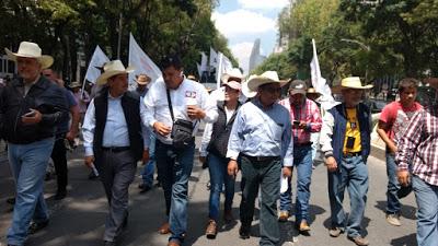 DEMANDA CIOAC-JDLD A SENADORES CONVOCAR A REUNIONES ABIERTAS PARA DISCUTIR LEY DE SEGURIDAD INTERIOR