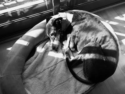 Días fríos de diciembre + Poesías + Reto B/N + Pearl Jam