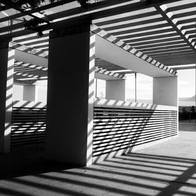 Días fríos de diciembre + Poesías + Reto B/N + Pearl Jam