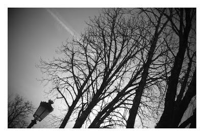 Días fríos de diciembre + Poesías + Reto B/N + Pearl Jam