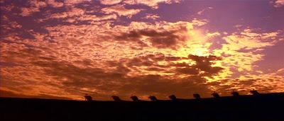 Bellísimos fotogramas