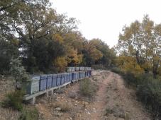 El barranco del Arenal