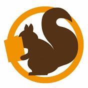 ¿Qué tipos de categorías existen  en el MTB?