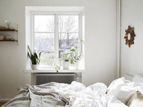 49 m2 decorados en neutro luminoso