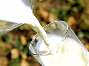 dieta leche para adelgazar